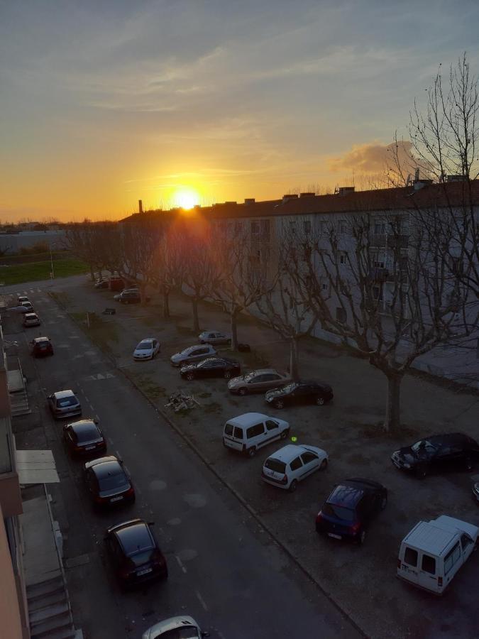 Aux Alyscamps Apartment Arles Ngoại thất bức ảnh